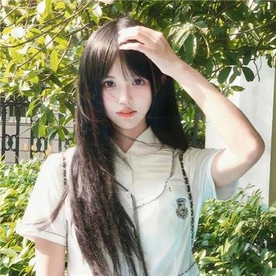 鸟语惊魂